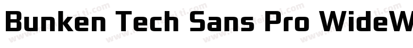 Bunken Tech Sans Pro WideW01SB字体转换